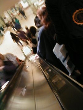 Down the escalator in the Smithsonian Natural History Museum