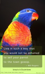 Live in such a way that you would not be ashamed to sell your parrot to the town gossip. --Will Rogers